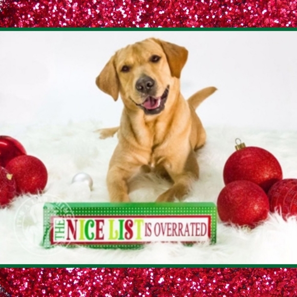 🚫SOLD OUT 10/10/20 - Picture 7 of 7